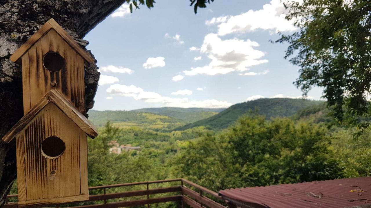 Rosarium Residence Guest House Dryanovo Dış mekan fotoğraf