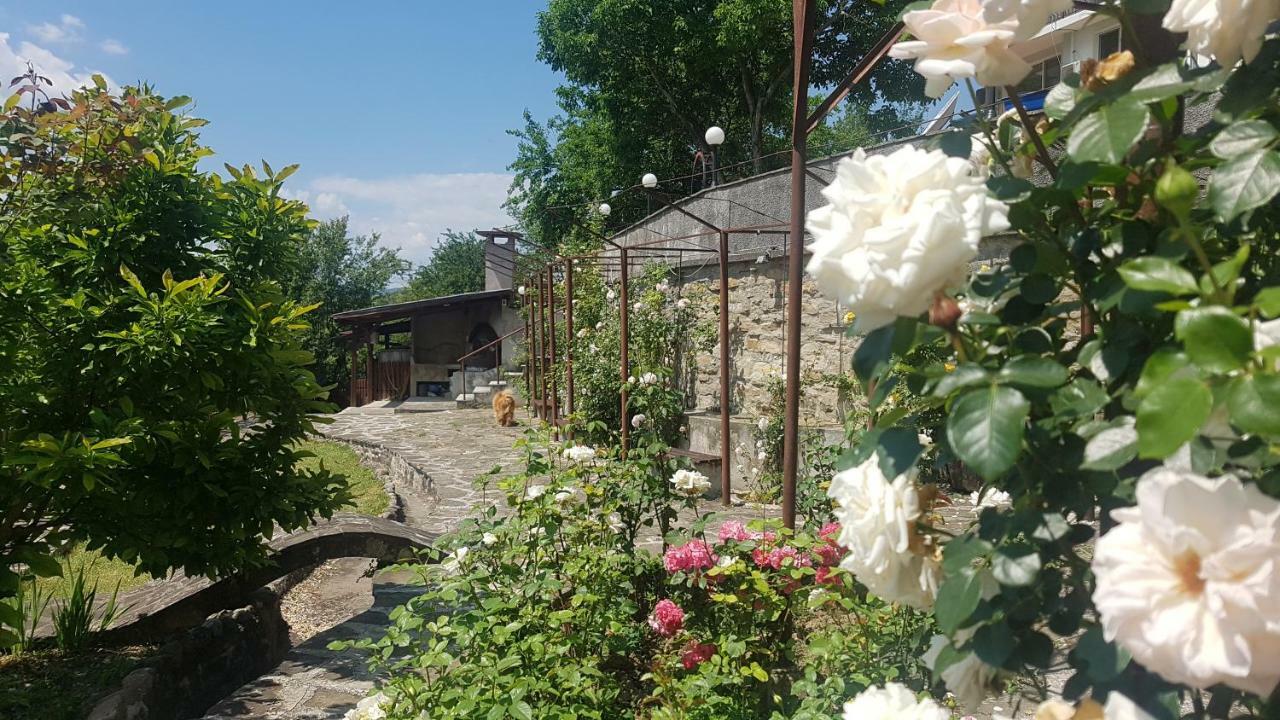 Rosarium Residence Guest House Dryanovo Dış mekan fotoğraf